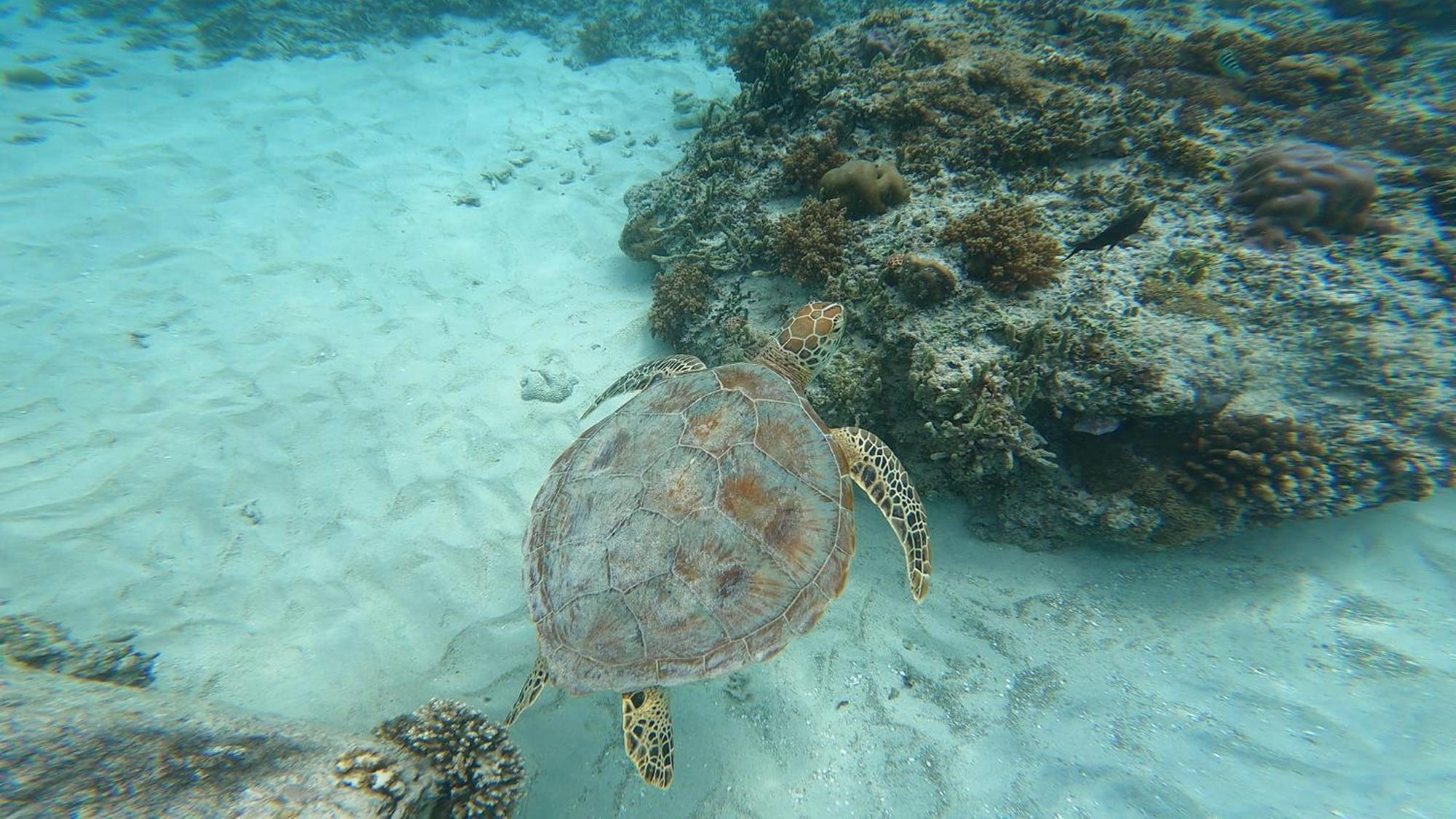 Mara'Ai Le Spot Tubuai, Chambre Triple Deluxe Mahu Sdb Privee Avec Piscine Mataura Bagian luar foto